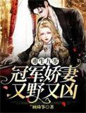 重生九零甜妻军嫂